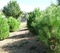 Terrenos Porto - Fotos para Quinta em Baião